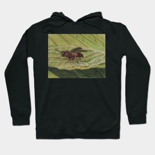 Ant Hoodie